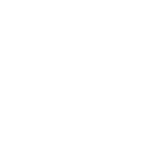 Zapp eLearning Logo